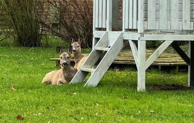 Ferienwohnung in Fehmarn OT Staberdorf - "Landhaus Voss" Typ 2 Nr.6 - Bild 24