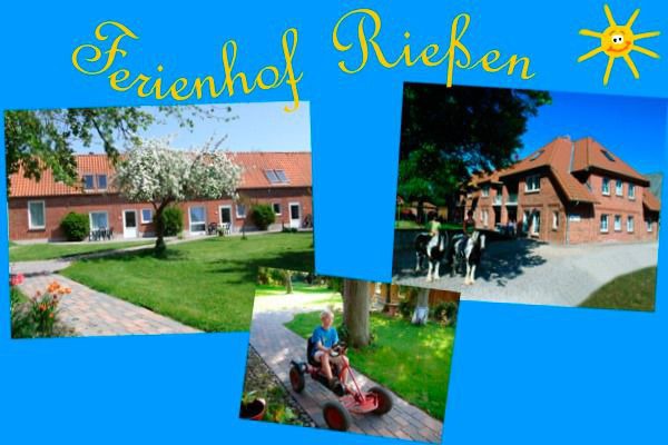 Ferienwohnung in Fehmarn OT Presen - "Ferienhof Rießen" Bauernhaus Nr. 12 - Bild 2