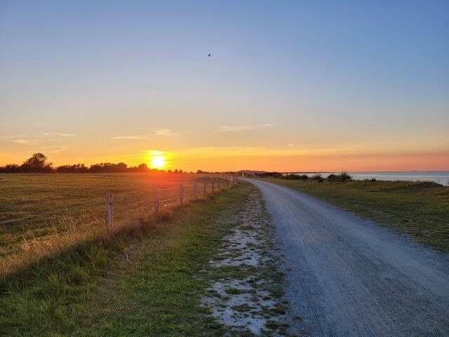 Ferienwohnung in Fehmarn OT Todendorf - Ferienhof Manowski Nr.2 - Bild 18
