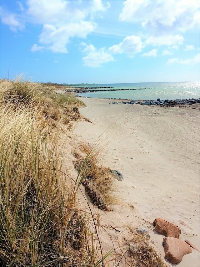 Ferienwohnung in Fehmarn OT Burgtiefe - FW Kn&uuml;tel Nr. 59 - Bild 16