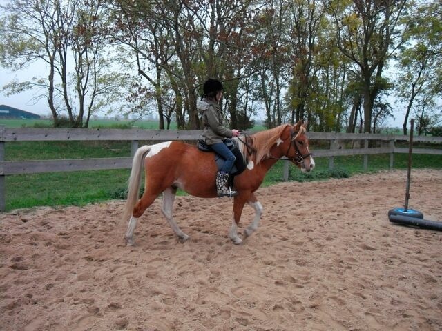 Ferienhaus in Fehmarn OT Wenkendorf - "Ferienhof Hinz" - Ferienhaus Feldkieker - Bild 10