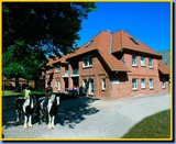 Ferienwohnung in Fehmarn OT Presen - "Ferienhof Rießen" Utspan Nr. 66 - Bild 1