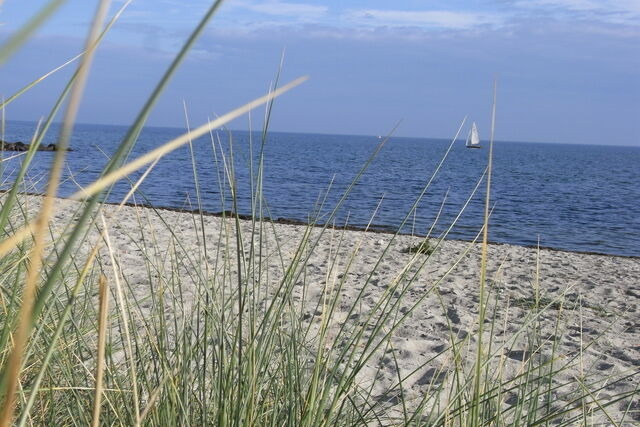 Ferienhaus in Fehmarn OT Gollendorf - Ferienhaus Steen - Bild 17