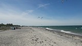 Ferienwohnung in Fehmarn OT Altenteil - Ferienhof Jahn - Appartment - Bild 13