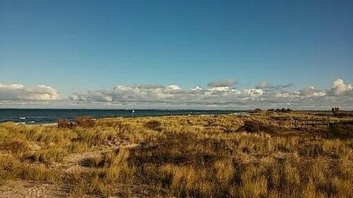 Ferienwohnung in Fehmarn OT Todendorf - FW Einfeldt - Bild 11