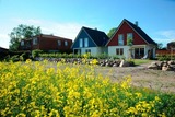 Ferienhaus in Fehmarn OT Todendorf - Bauernhof K&ouml;hlbrandt - Landhaus - Bild 6