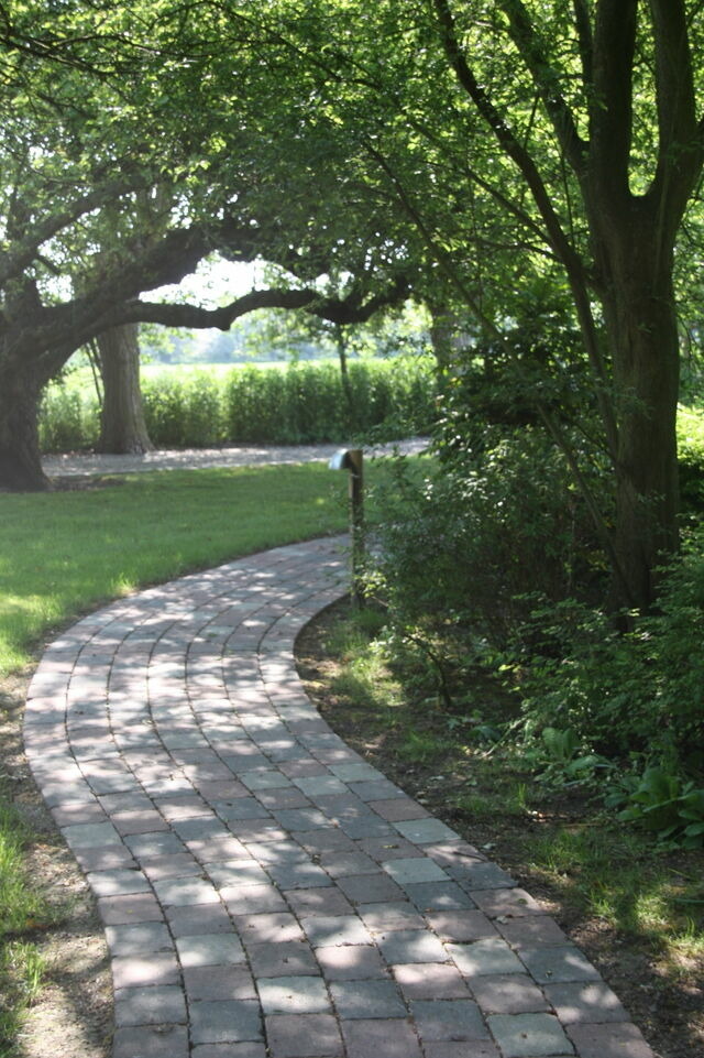 Ferienwohnung in Fehmarn OT Neue Tiefe - Bachstelze - Bild 8