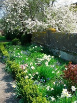 Ferienwohnung in Fehmarn OT Hinrichsdorf - Mohnblume Nr.2 - Bild 12