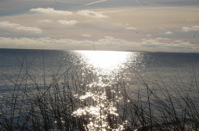 Ferienwohnung in Fehmarn OT Petersdorf - Ferienwohnung Harländer - Bild 17