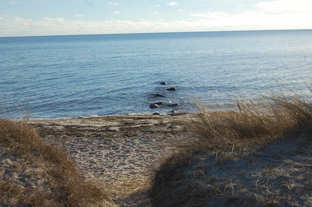 Ferienwohnung in Fehmarn OT Petersdorf - Ferienwohnung Harländer - Bild 20