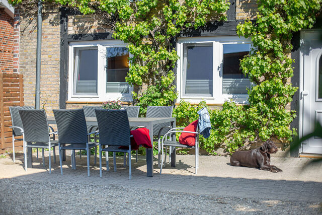 Ferienwohnung in Fehmarn OT Wenkendorf - "Ferienhof Hinz" - Klatschmohn EG - Bild 18