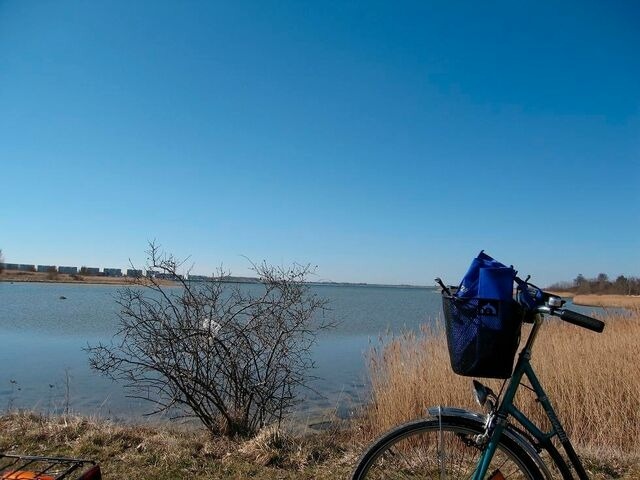 Ferienwohnung in Fehmarn OT Burgtiefe - Ferienwohnung Dahmen - Bild 9