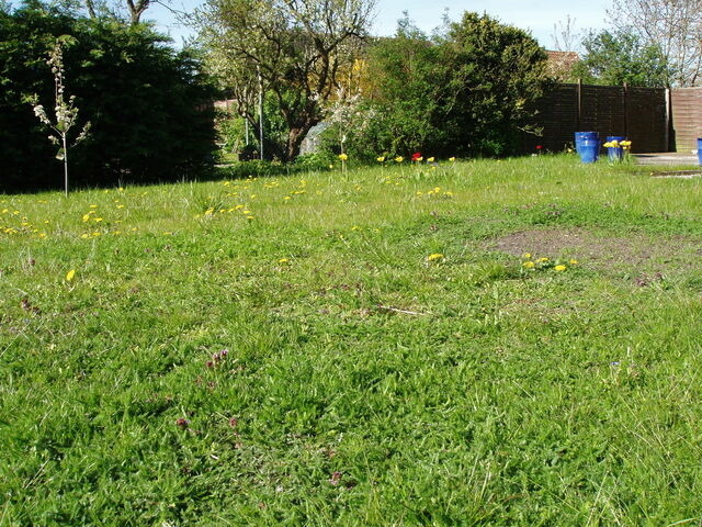 Ferienwohnung in Fehmarn OT Niendorf - Ferienwohnung Thor - Bild 9