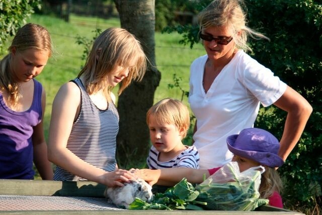 Ferienwohnung in Fehmarn OT Wenkendorf - "Ferienhof Bauernhof Hinz" - Donnerkeil OG - Bild 23