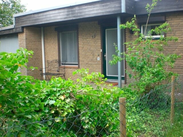 Ferienhaus in Fehmarn OT Marienleuchte - Haus für alle Felle - Bild 2