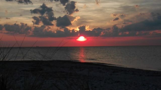 Ferienwohnung in Fehmarn OT Landkirchen - Haus Amy - Wohnung 1 - Bild 19
