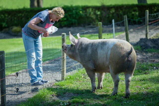 Ferienwohnung in Fehmarn OT Lemkendorf - Ferienhof Becker - FeWo im Bauernhaus - Bild 5