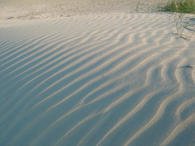 Ferienwohnung in Haffkrug - Strandläufer - Bild 10
