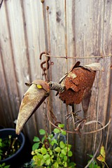Ferienwohnung in Eckernförde - Von de Dang - Bild 18