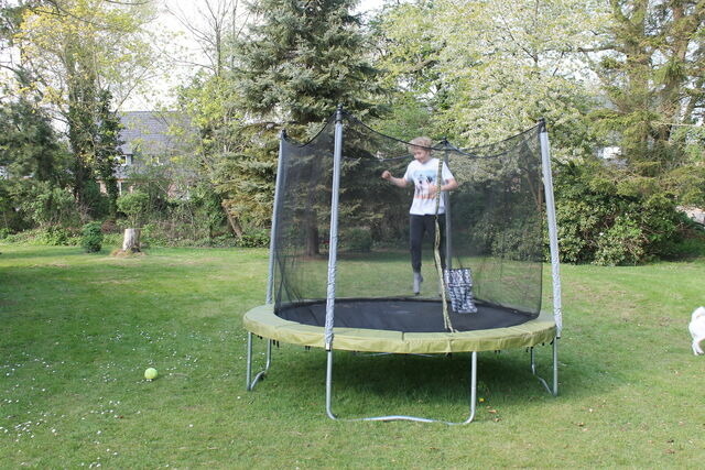 Ferienwohnung in Grömitz - "Pappelhof - Whg. 6" - Bild 17