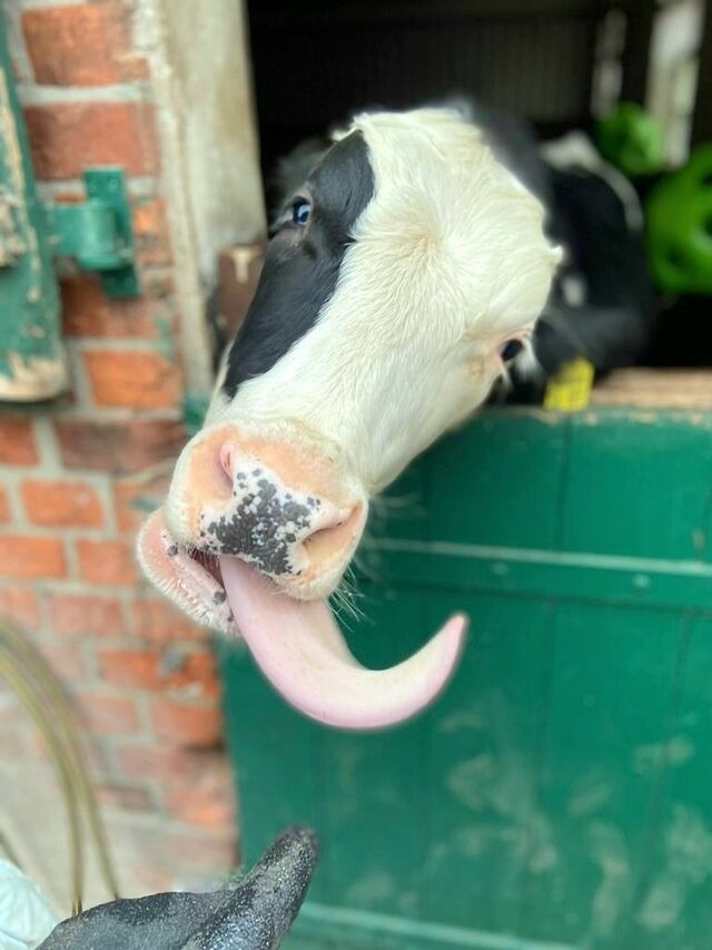 Ferienwohnung in Grömitz - "Pappelhof - Whg. 6" - Bild 23