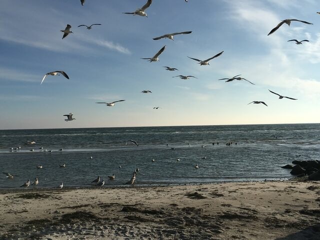 Ferienwohnung in Grömitz - Tannenburg 2.03 - App. Muscheloase - Bild 19