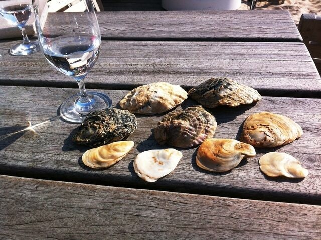 Ferienwohnung in Grömitz - Tannenburg 2.03 - App. Muscheloase - Bild 20