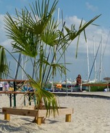 Ferienwohnung in Grömitz - Tannenburg 2.03 - App. Muscheloase - Bild 25