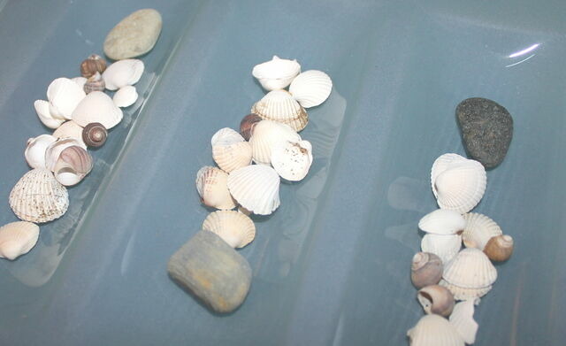 Ferienhaus in Grömitz - "Ferienhaus Moll" - Bild 4