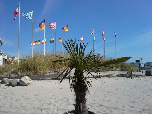 Ferienwohnung in Grömitz - Haus Baltic - Whg. 23 - NEU inkl. Saisonstrandkorb! - Bild 23