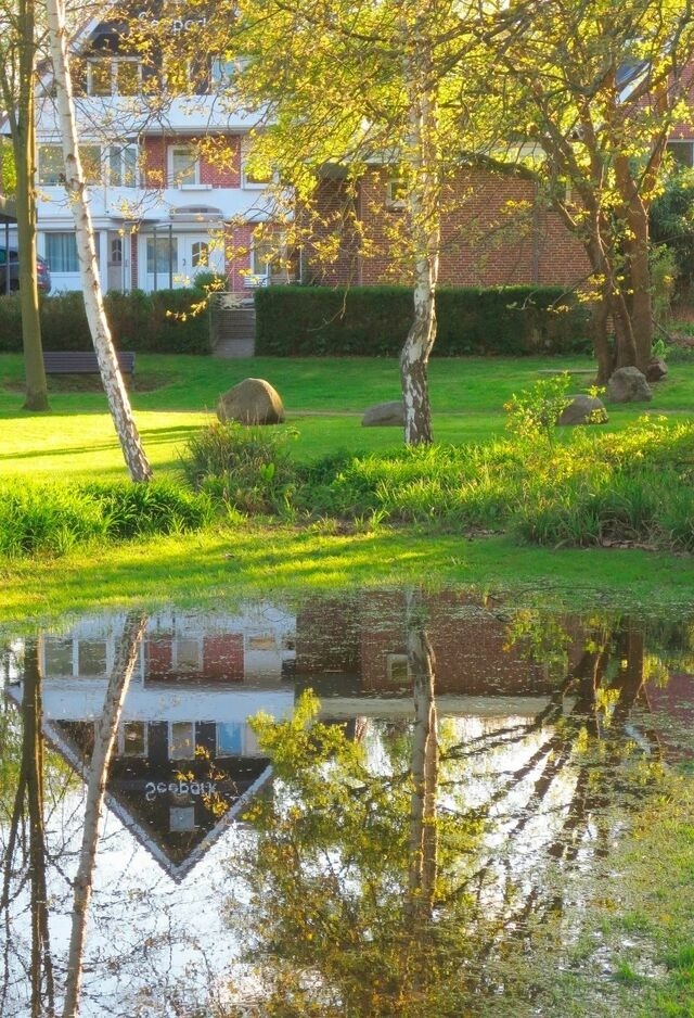 Ferienwohnung in Gr&ouml;mitz - Seepark - Steuerbord - Bild 16