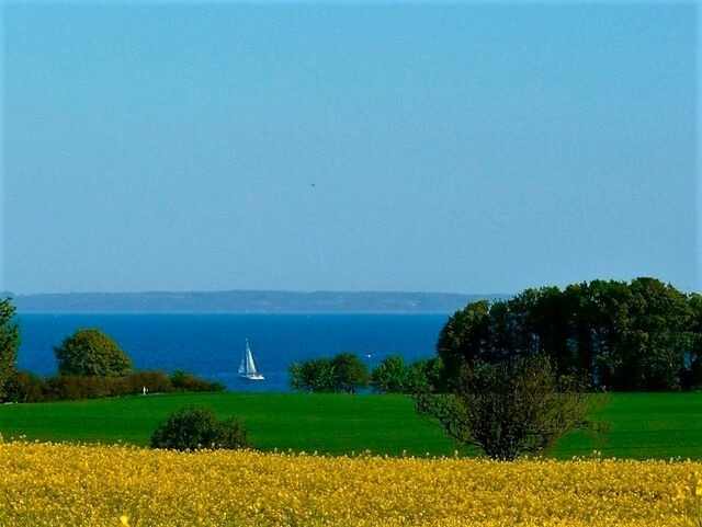 Ferienwohnung in Gr&ouml;mitz - Ferienhaus Marina II - Whg. 5 - Bild 16