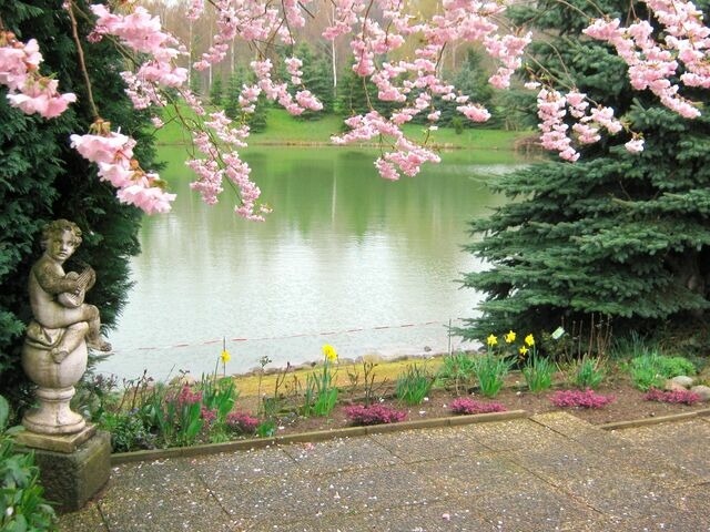 Ferienwohnung in Cismar - Haus am Kojenteich - Whg. 2 - Klosterdorf Cismar - gepflegte Wohnung auf idyllischem Seegrundstück - Bild 17