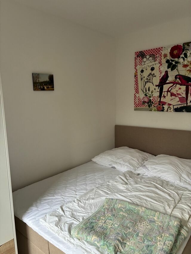 Ferienwohnung in Grömitz - Haus Barbara - Schwimmbad und Sauna im Haus - Whg. 2 - Bild 12