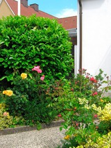 Ferienwohnung in Gr&ouml;mitz - Ferienhaus Marina II - Whg. 2 - Bild 14