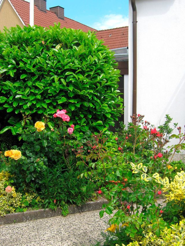 Ferienwohnung in Gr&ouml;mitz - Ferienhaus Marina II - Whg. 2 - Bild 14