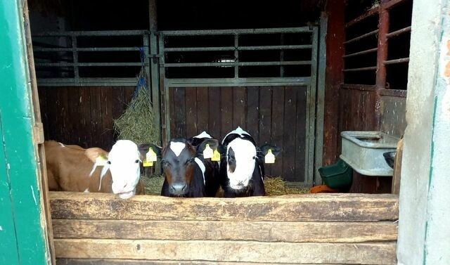 Ferienwohnung in Grömitz - "Pappelhof - Whg. 5" - Bild 25