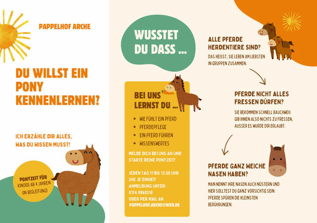 Ferienwohnung in Gr&ouml;mitz - "Pappelhof - Whg. 5" - Bild 23