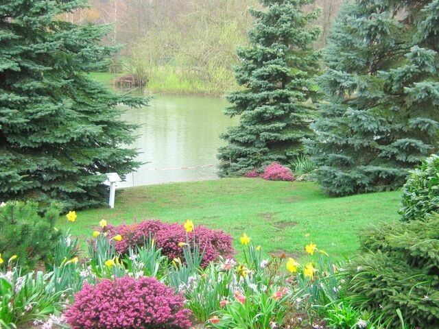 Ferienwohnung in Cismar - Haus am Kojenteich - Whg. 1 - Klosterdorf Cismar - gepflegte Wohnung auf idyllischem Seegrundstück - Bild 14