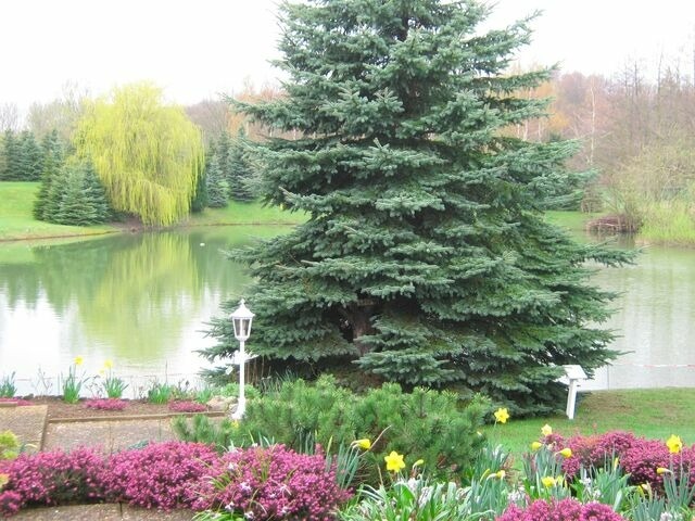 Ferienwohnung in Cismar - Haus am Kojenteich - Whg. 1 - Klosterdorf Cismar - gepflegte Wohnung auf idyllischem Seegrundstück - Bild 15