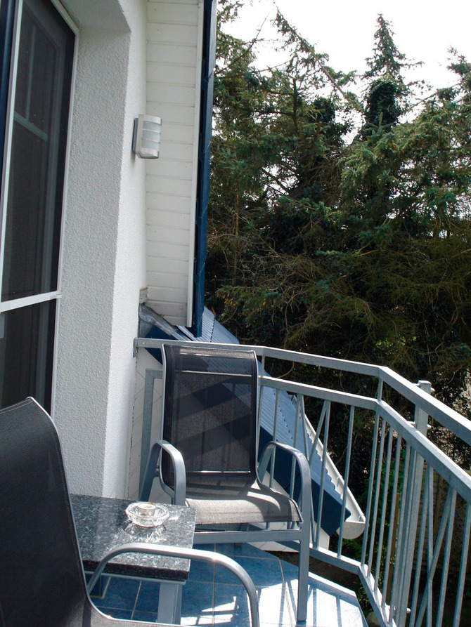 Ferienwohnung in Ostseeheilbad Zingst - Blick ins Gr&uuml;ne - Bild 9