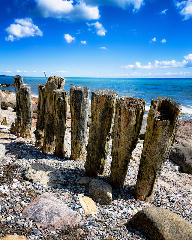Ferienwohnung in Grömitz - "Haus Atlantic" - Wohnung "StrandGut" - Bild 24