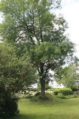 Ferienwohnung in Gr&ouml;mitz - "Wohnung: Holzkoppel - Hof Jasen" - Bild 25