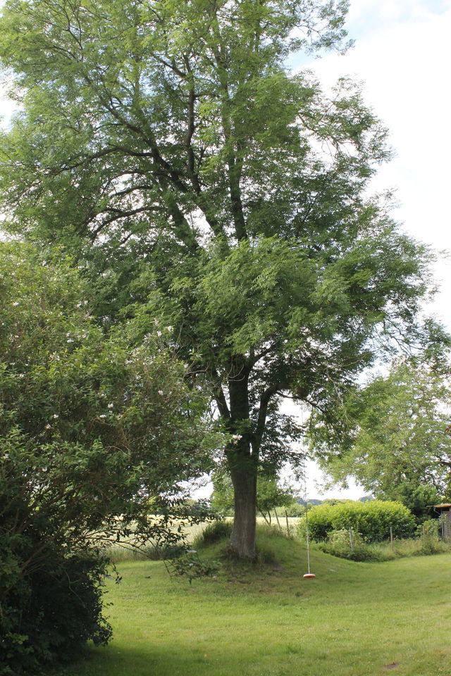 Ferienwohnung in Gr&ouml;mitz - "Wohnung: Holzkoppel - Hof Jasen" - Bild 25