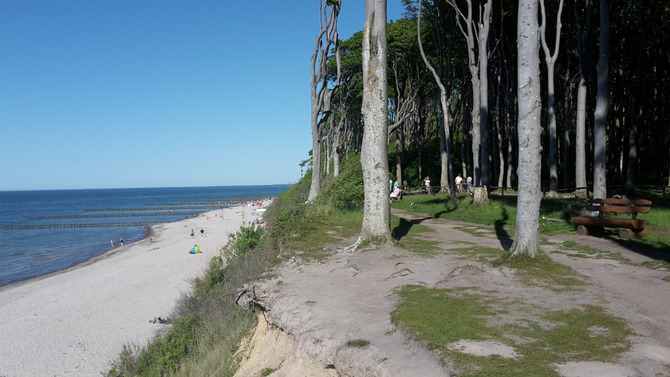 Ferienwohnung in Ostseebad Nienhagen - Ferienwohnung Dorie - Gespensterwald
