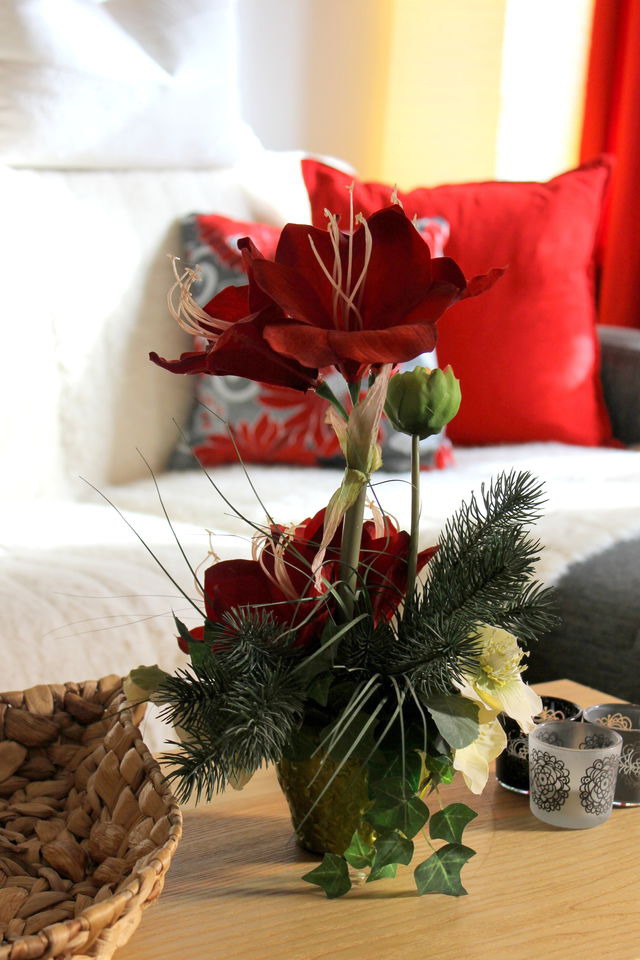 Bungalow in Grömitz - Ferienwohnung Suhr - Bild 3