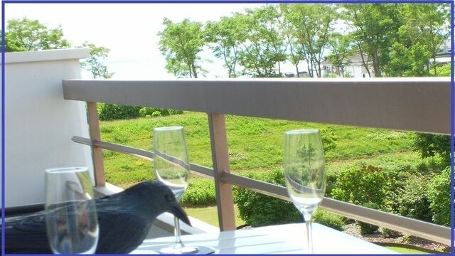 Ferienwohnung in Grömitz - Bonna&#039;s Ostsee Oase - Haus Baltic - Whg. 180 - Inkl. gratis WLAN und Saisonstrandkorb - Bild 16