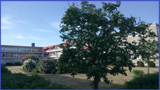 Ferienwohnung in Grömitz - Bonna&#039;s Ostsee Oase - Haus Baltic - Whg. 180 - Inkl. gratis WLAN und Saisonstrandkorb - Bild 2