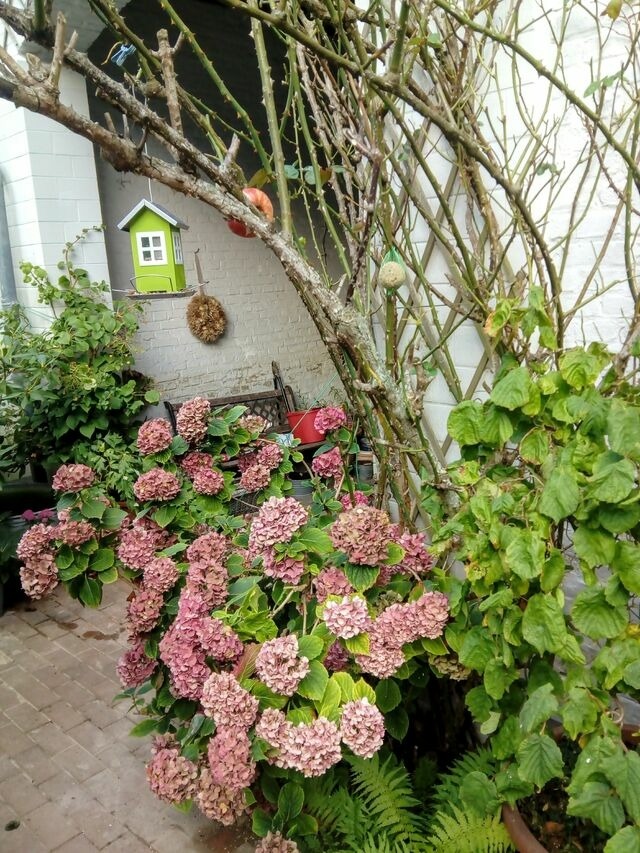 Ferienwohnung in Eckernförde - Johannes Büll - Bild 21