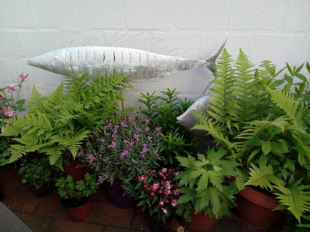 Ferienwohnung in Eckernförde - Johannes Büll - Bild 22